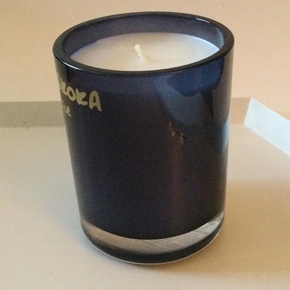 BETTER WORLD FRAGRANCE HOUSE BY DRAKE MUSKOKA CANDLE 10.5 oz NWOT